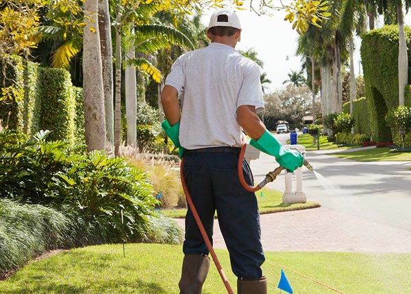 About San Saba TX Pest Control